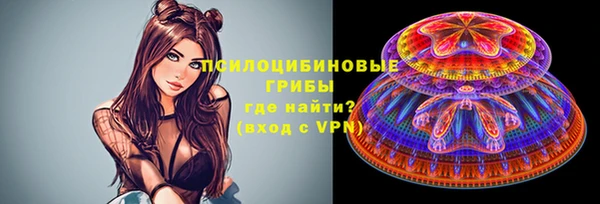 амф Алексин