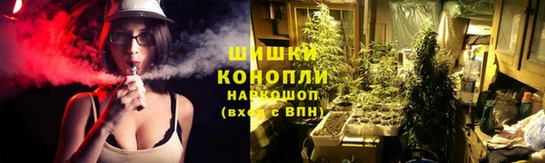 гидра Арсеньев