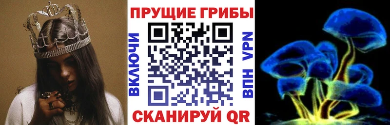 Псилоцибиновые грибы прущие грибы  сайты даркнета Telegram  Павлово 