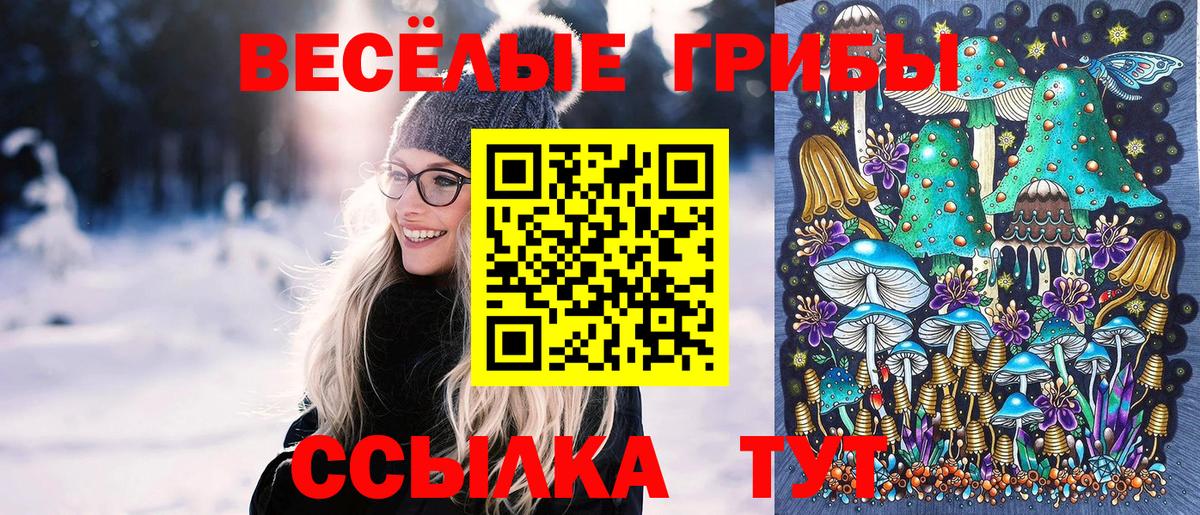Псилоцибиновые грибы Psilocybine cubensis Павлово