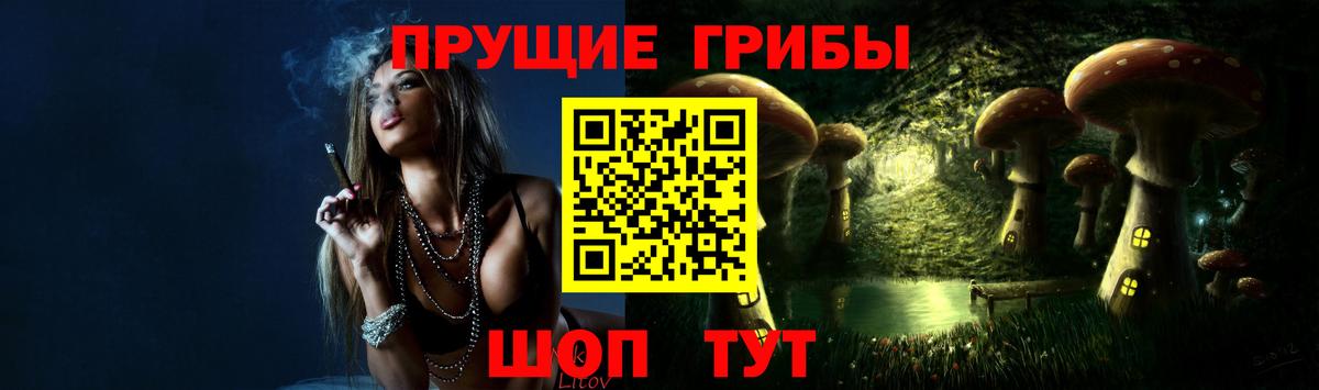 Павлово  Псилоцибиновые грибы MAGIC MUSHROOMS  Галлюциногенные грибы мухоморы  Вход с VPN 